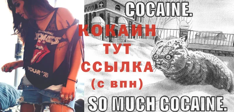 Cocaine FishScale  где продают   Козельск 